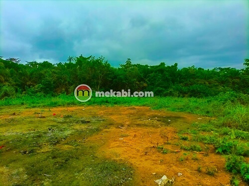 a plot of land in Ghana with green forest