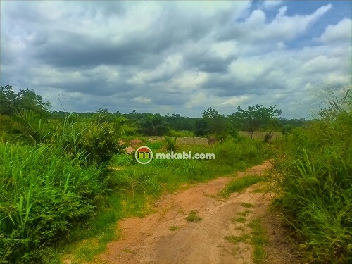 a plot of land in Ghana with grass and pavement