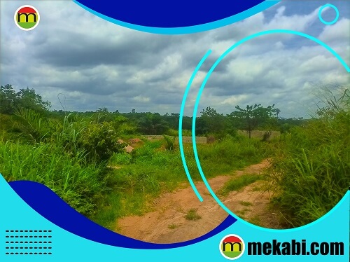 companies that sell land in Ghana