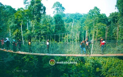 kakum national park canopy