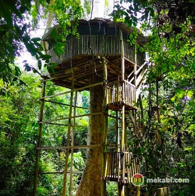 kakum national park tree house